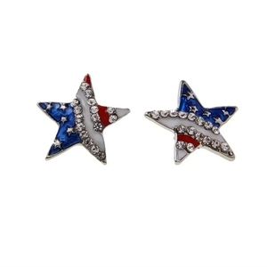 Earings. Independence Day Earings